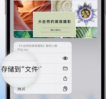 翁源apple维修中心分享iPhone文件应用中存储和找到下载文件