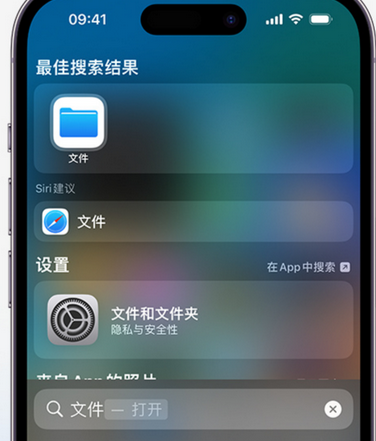 翁源apple维修中心分享iPhone文件应用中存储和找到下载文件 