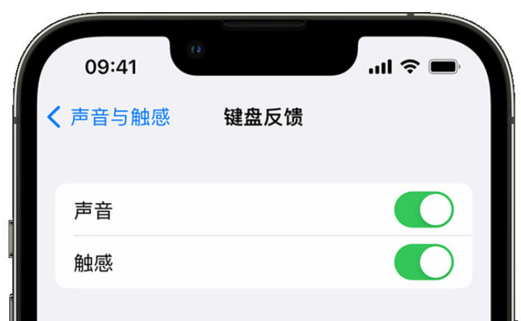 翁源苹果手机维修分享iPhone 14触感键盘使用方法 