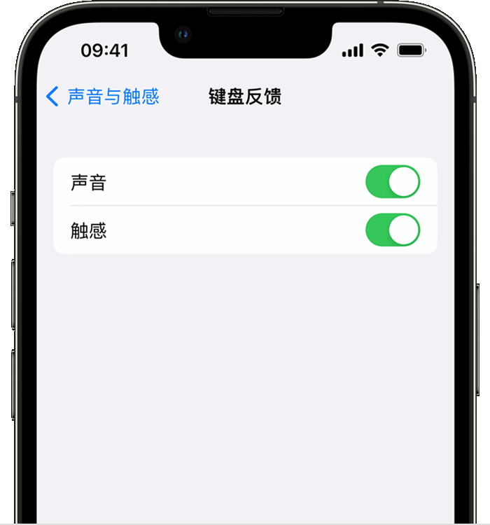 翁源苹果14维修店分享如何在 iPhone 14 机型中使用触感键盘 