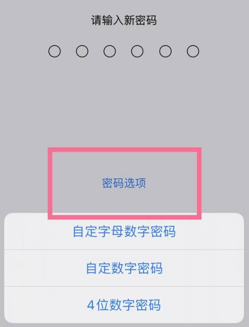 翁源苹果14维修分享iPhone 14plus设置密码的方法 