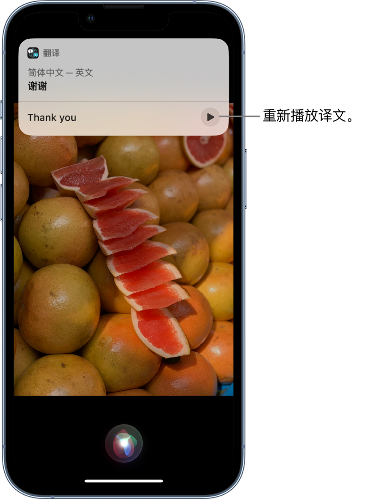 翁源苹果14维修分享 iPhone 14 机型中使用 Siri：了解 Siri 能帮你做什么 