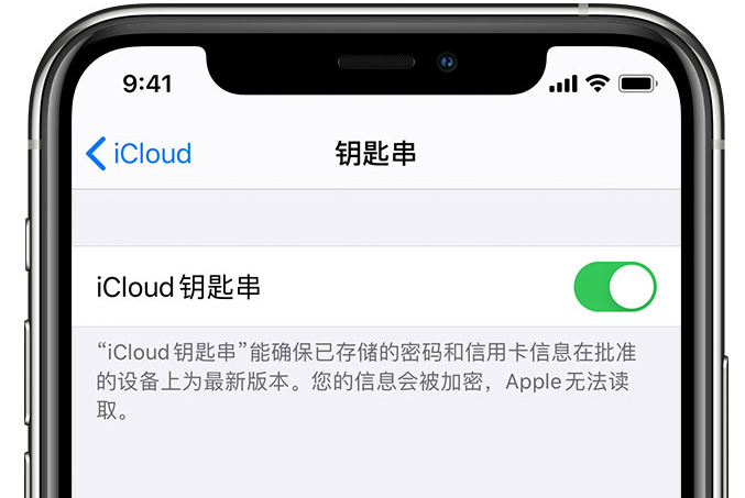 翁源苹果手机维修分享在 iPhone 上开启 iCloud 钥匙串之后会储存哪些信息 