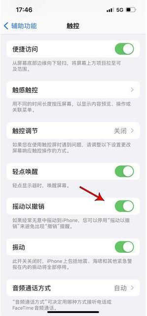 翁源苹果手机维修分享iPhone手机如何设置摇一摇删除文字 